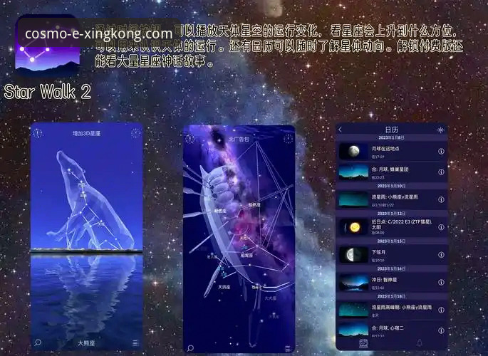 星空娱乐平台最新版本对比详解